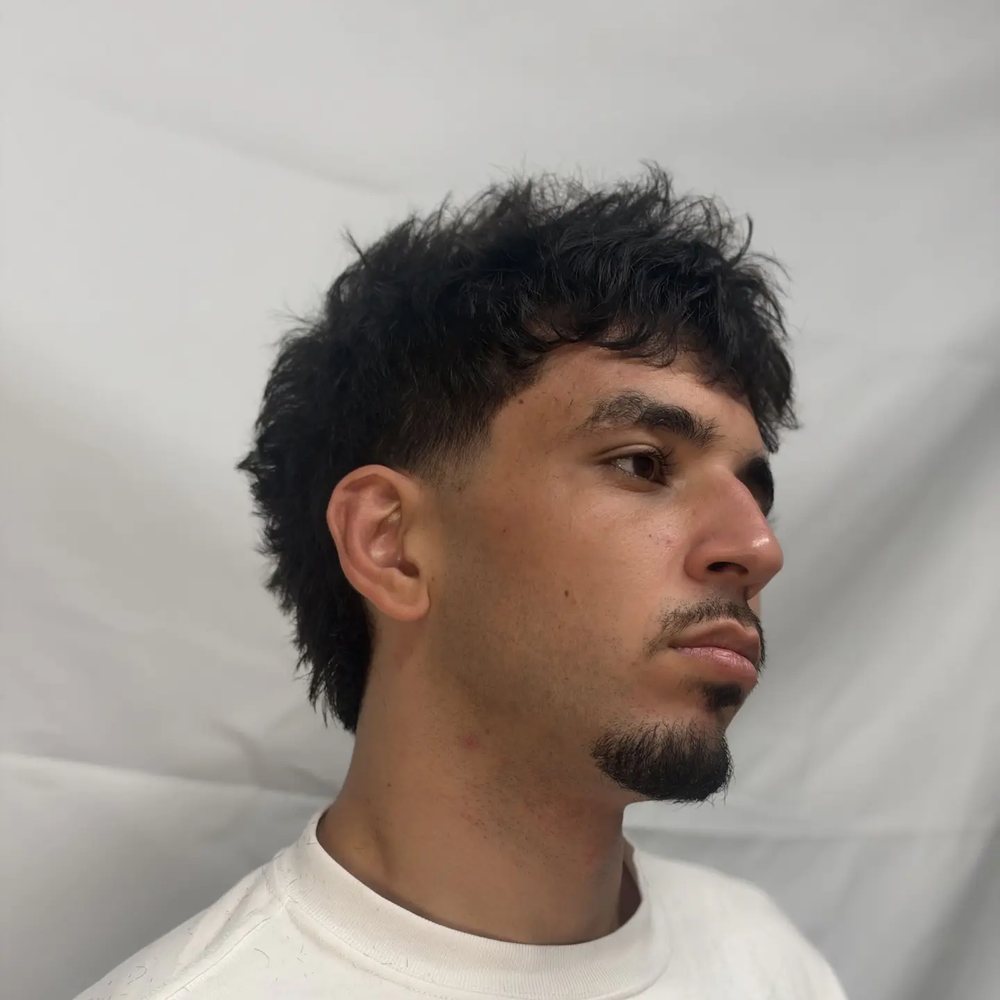 Curly burst fade mullet, side profile